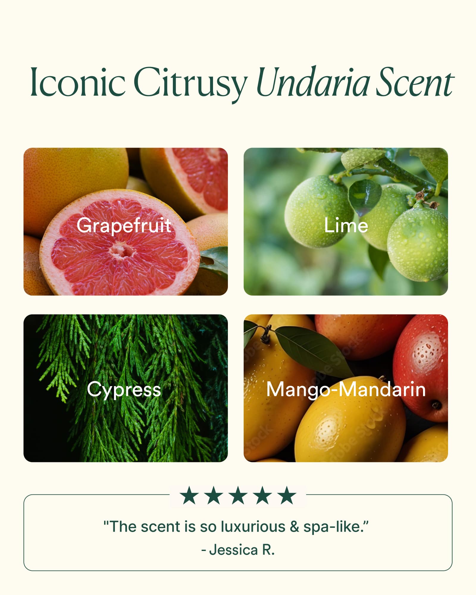 7-UCBP_PDP_SCENT_1600x2000_dd8a18c6-4d18-4c18-be8f-cf1039a20c3a.jpg
